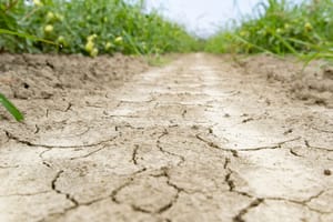 Arrêté préfectoral - Restriction d'eau 2026