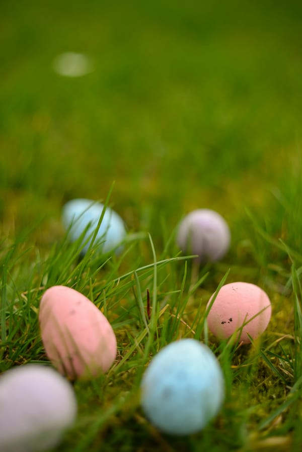 Les oeufs colorés sont de retour