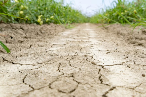 Arrêté préfectoral - Restriction d'eau 2026